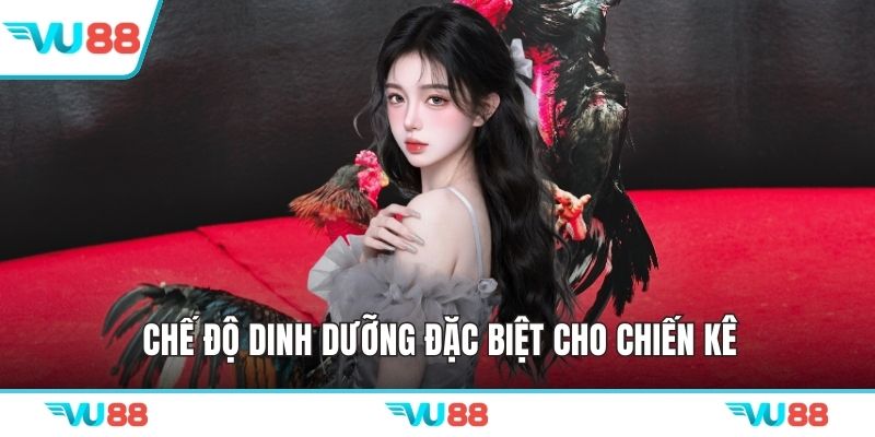 Chế độ dinh dưỡng đặc biệt cho chiến kê