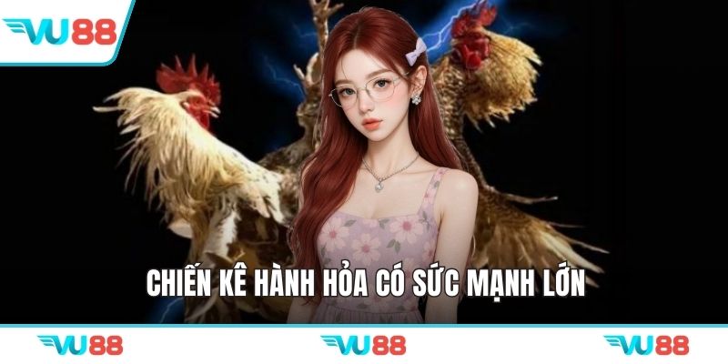 Chiến kê hành Hỏa có sức mạnh lớn
