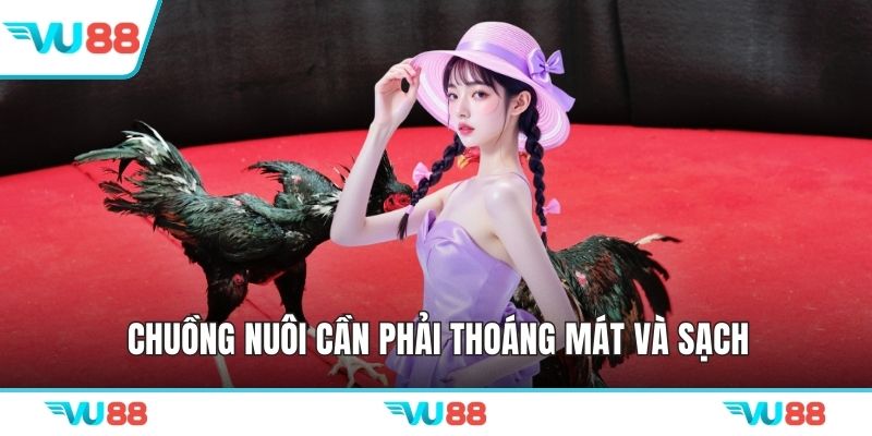 Chuồng nuôi cần phải thoáng mát và sạch