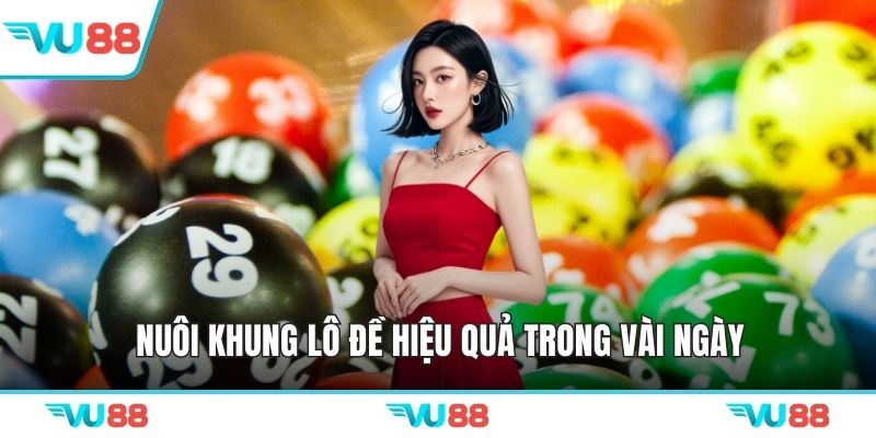 Nuôi khung lô đề hiệu quả trong vài ngày