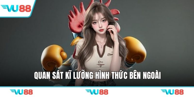 Quan sát kĩ lưỡng hình thức bên ngoài