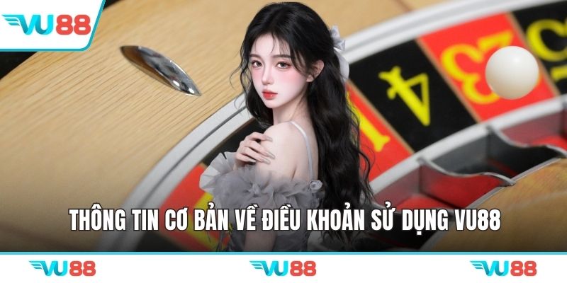 Thông tin cơ bản về điều khoản sử dụng VU88